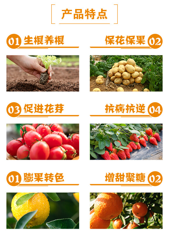 ���ٌ���-������-һ������_03