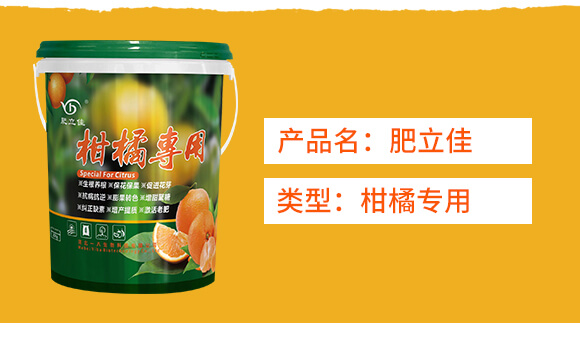 ���ٌ���-������-һ������_02