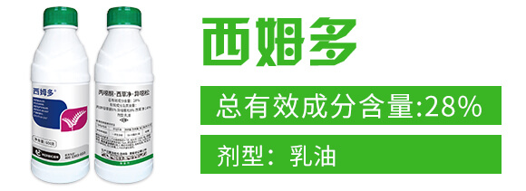 28%���fͪ�����݃������f��-��ķ��-���r(n��ng)����_02