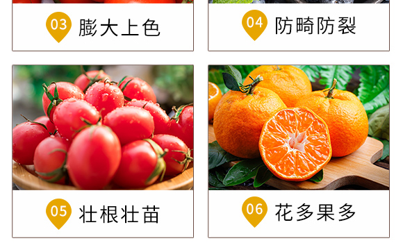 ��������-�r(n��ng)�t(y��)��-�_��ţ_06