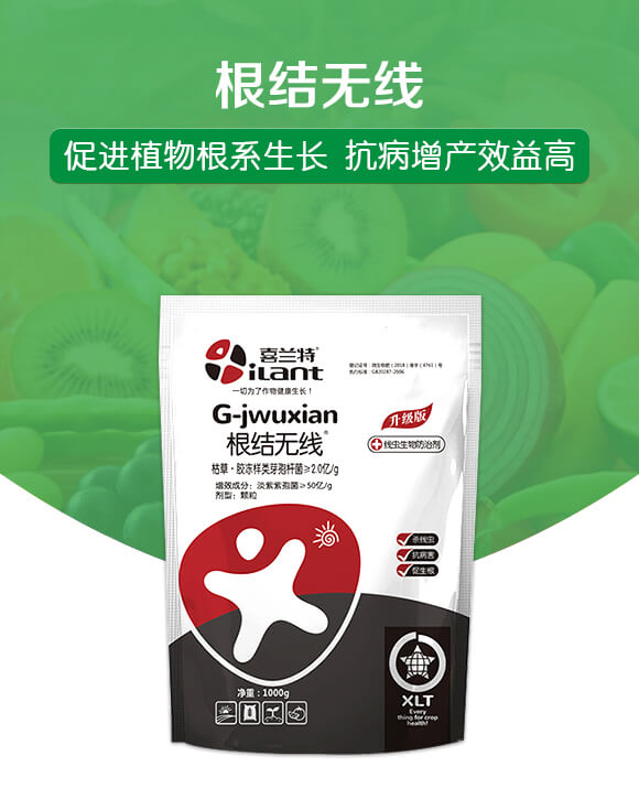 根結無線-喜蘭特_01