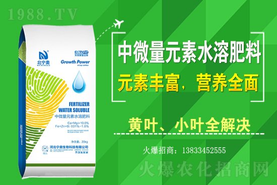 �S����ԓ��ô�Nֲ���S���˷Nֲ�^����ע����Щ���}��