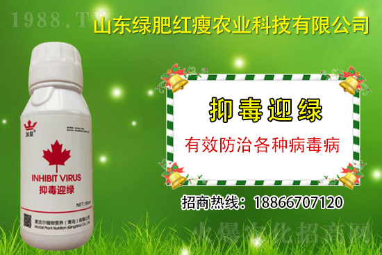 ���β�������Ҳ���ðΣ����ֶ�ӭ�G�����β�������