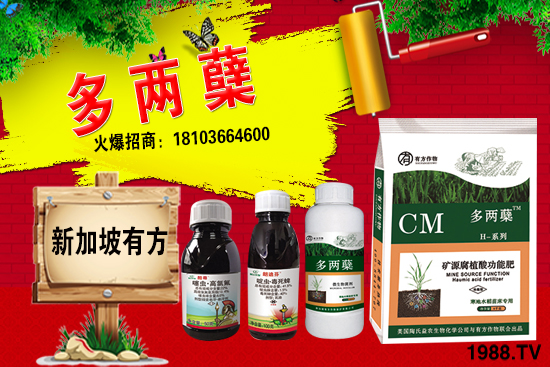 2021�����ַNֲǰ������������ֺ���ͨ�����к΅^(q��)�e��