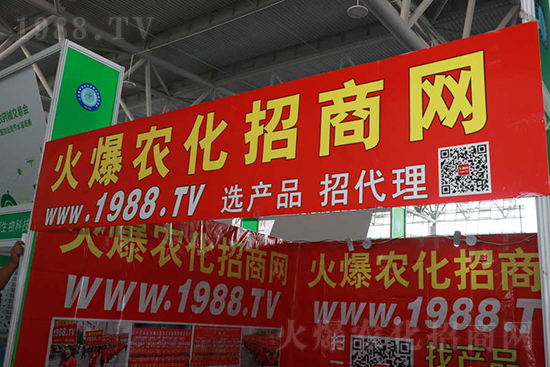 ��s������2021ɽ�|ֲ����(hu��)���𱬾W(w��ng)��������ʢ�e��