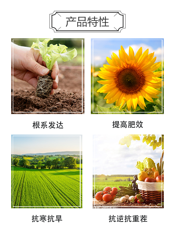 ��ɫ�к������Q(m��o)(����)���޹�˾1_03