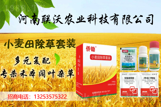 (li��n)���r(n��ng)�I(y��)�m(x��)�s1988.TV���y�ֹ���(chu��ng)���x�ͣ�