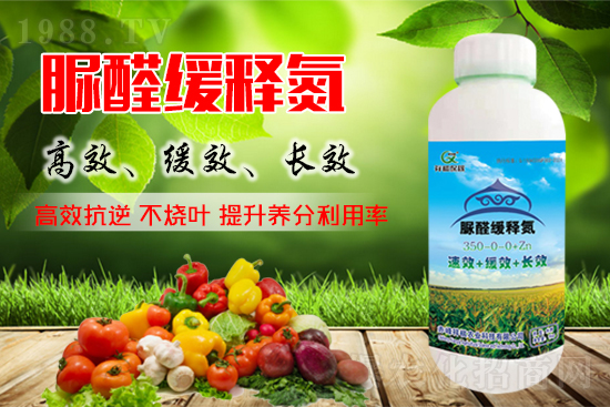 ���؃r(ji��)���߄���11��10�����؃r(ji��)�������܈�(b��o)