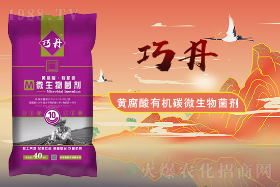 �����Pϵ�����A��ɽ�|�f��ȵ��m(x��)�s1988.TV��