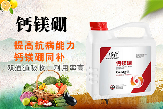 �����Pϵ�����A��ɽ�|�f��ȵ��m(x��)�s1988.TV��