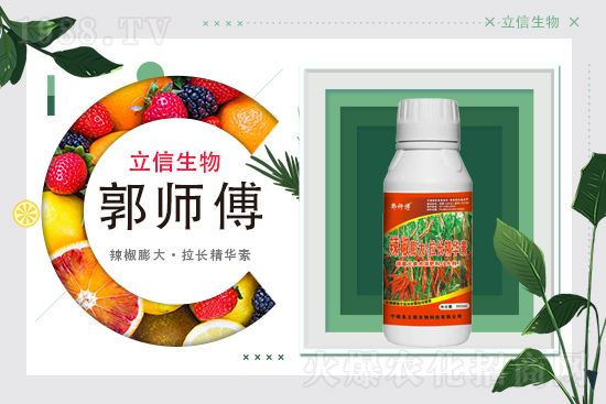 ���������m(x��)�s1988.TV���y�ֹ���(chu��ng)���x����