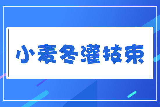 С�����༼�g(sh��)