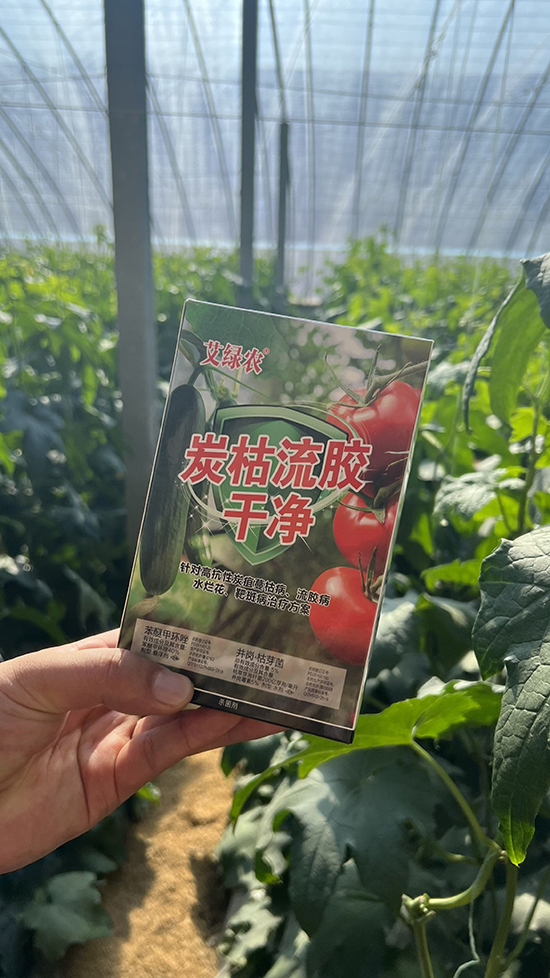 QQ�DƬ20211125143155