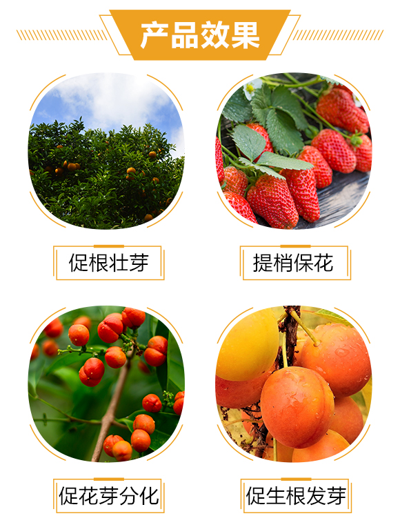 �o�����H3_03