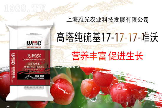 ��(f��)�Ϸʳ��S��(b��o)�r(ji��)��11��8�Տ�(f��)�Ϸʃr(ji��)������