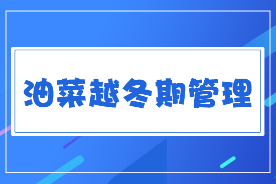 �Ͳ�Խ���ڹ���