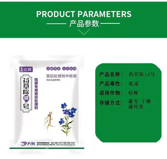 �۹����݄�-�۹����-�۹��(zhu��n)��-ˎ�ݳ�12̖(h��o)-���n2