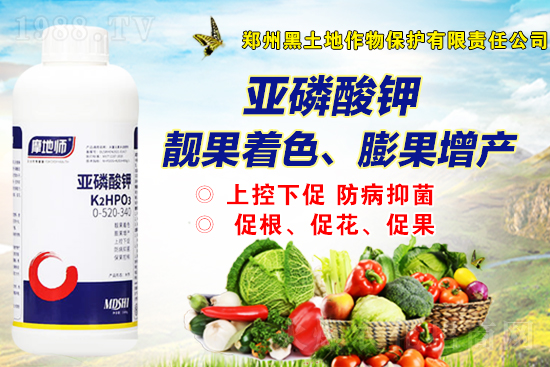 2021年12月2日磷銨新報價是多少？