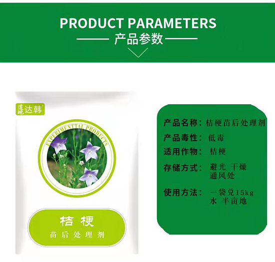 �۹����݄�-�۹����-�۹�����-���n2