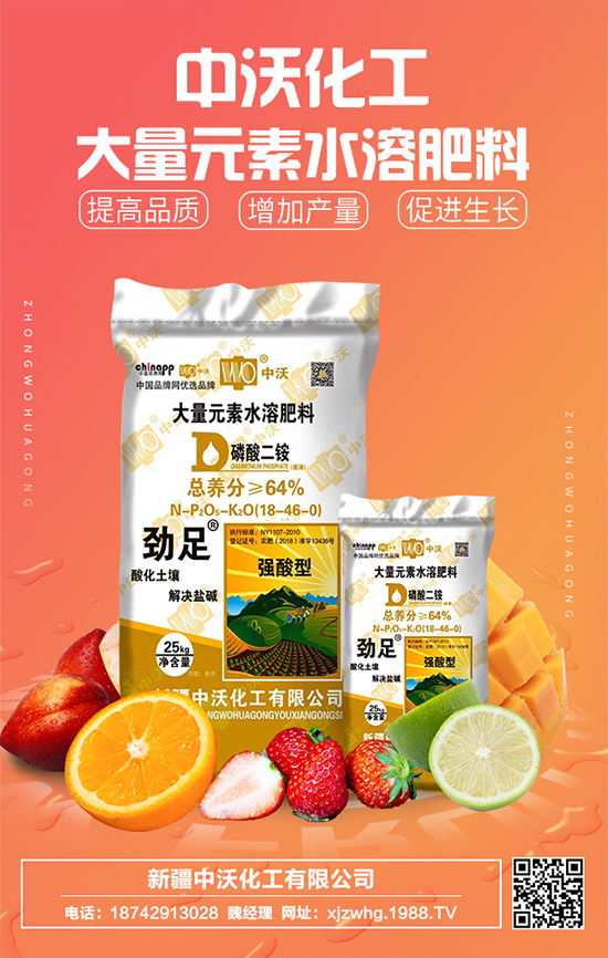 ���ֻ����m(x��)�s1988.TV���y���r���W�ل�(chu��ng)���x�ͣ�