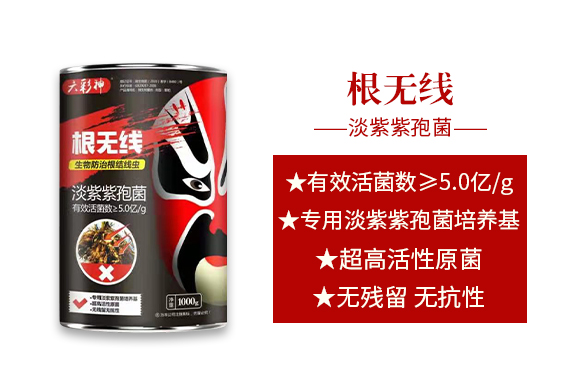 �����f(w��n)�����ﱣ�o(h��)���޹�˾_02