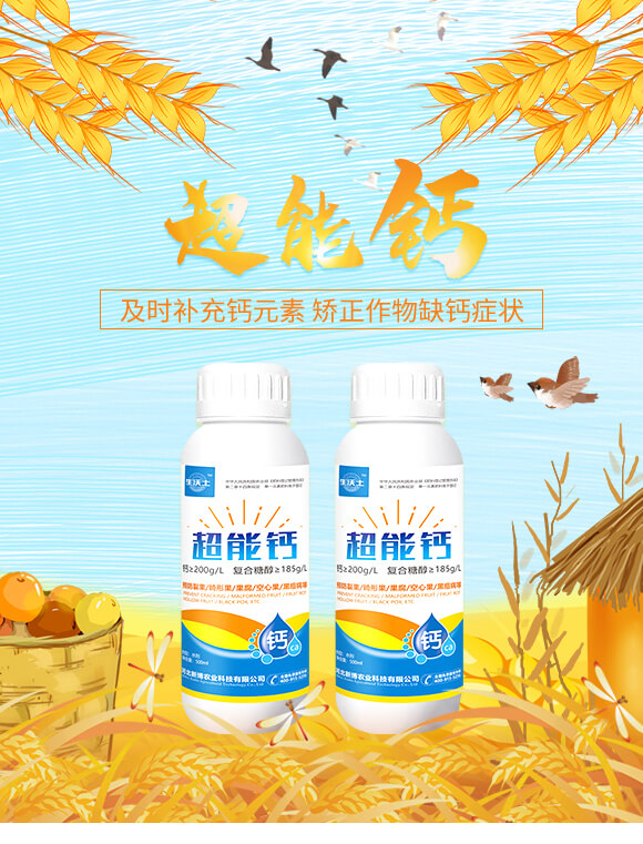 �����}-������-�²��r(n��ng)�I(y��)_01