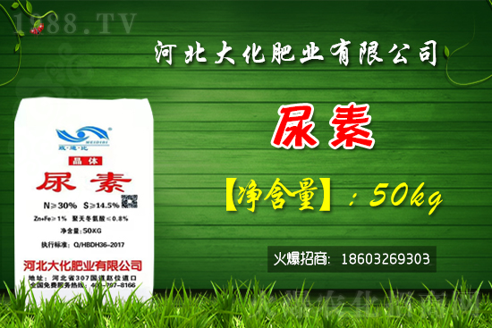 �t��������������Xһ�����Nֲǰ�������