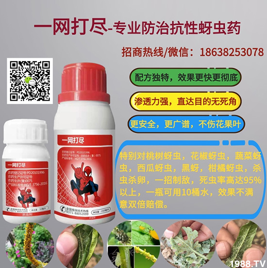 2021.3.17���x��ԭˎ�r(ji��)���߲�