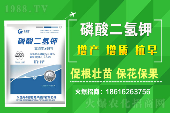 ���˷Nֲ��Ҫע����Щ���}�����˷Nֲԓ��ôʩ�ʣ�