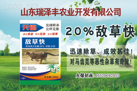 �Ҳݰ����݄��r(ji��)���Ӎ2021.3.20