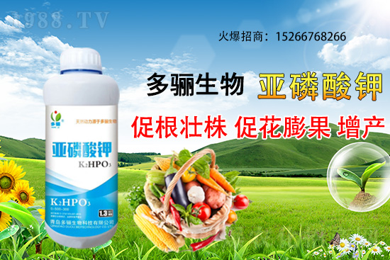 3�·��m�ϷNֲʲôˎ������Щˎ�ķNֲǰ������ٍ�X(qi��n)