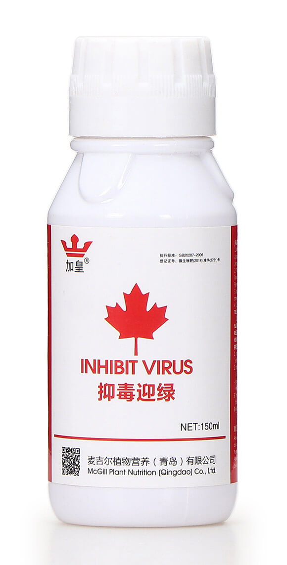 �ֶ�ӭ�G�����β������� �G��5