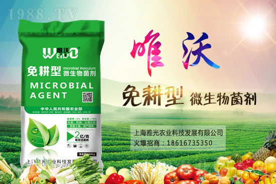 �����r��