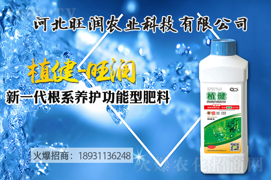 �{(l��n)ݮ��(sh��)����ô�Nֲ���{(l��n)ݮ��(sh��)��ķNֲ���޼����ݼ��g(sh��)��