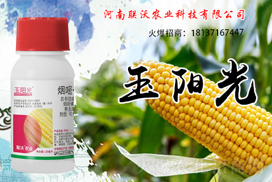 ���׳��ݞ�ʲô�x����������������݄���δ�