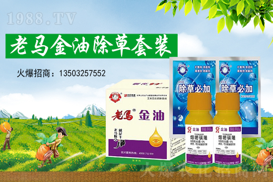 ���ȷ����ѳ��݄��r���߄�2021��5��18��