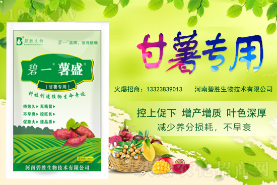 ���r(n��ng)���W(w��ng)ϲӭ�����ѣ��y�ֱ̄����ﹲ��ؔ��֮·��