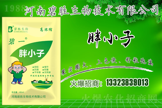 ���r(n��ng)���W(w��ng)ϲӭ�����ѣ��y�ֱ̄����ﹲ��ؔ��֮·��