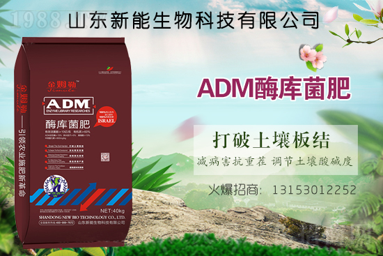 ����ף�R���������ٺ�1988.TV���_���W(w��ng)�j(lu��)������ģʽ��