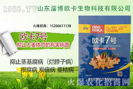 �W�������ٺ�1988.TV������(sh��)�F(xi��n)��I(y��)�v�w��(m��ng)��