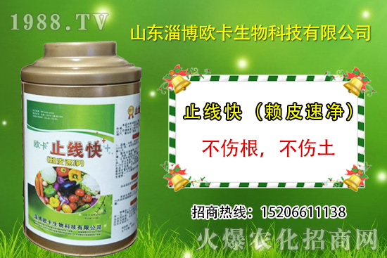 �W�������ٺ�1988.TV������(sh��)�F(xi��n)��I(y��)�v�w��(m��ng)��