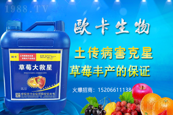 �W�������ٺ�1988.TV������(sh��)�F(xi��n)��I(y��)�v�w��(m��ng)��