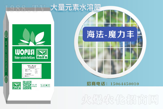 �r(n��ng)���W(w��ng)ϲӭ���������y���Z��˹����ؔ��֮·��