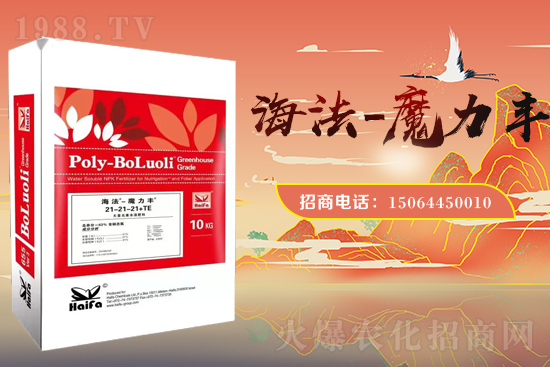 �r(n��ng)���W(w��ng)ϲӭ���������y���Z��˹����ؔ��֮·��