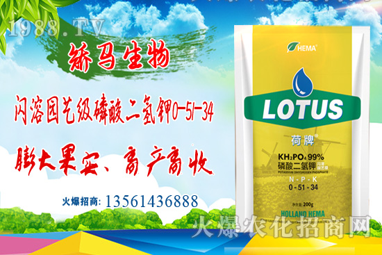 鉀肥價格大漲！2021年6月16日鉀肥價格行情日報 