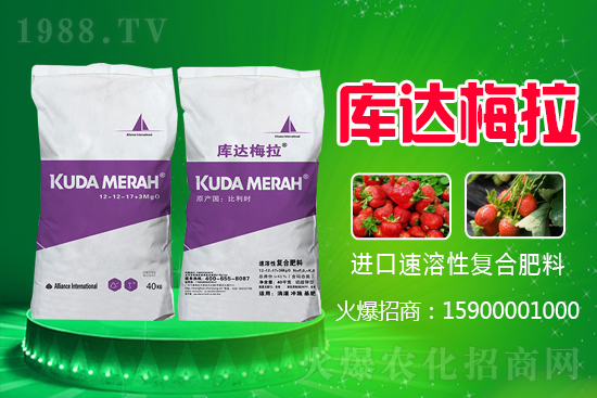 紅三角復(fù)合肥多少錢一噸？2021.6.16化肥價(jià)格行情報(bào)價(jià)