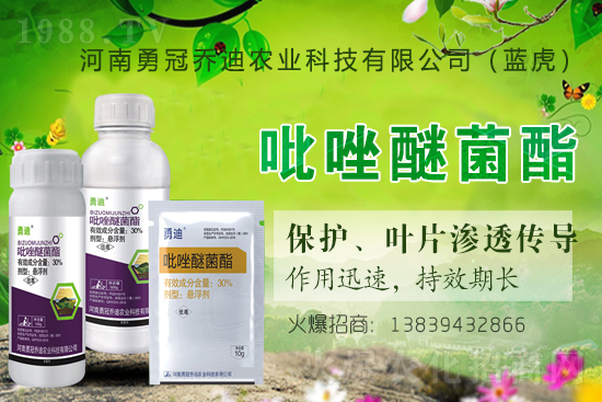 �����������¹چ̵ϣ��{�����ٺ�1988.TV������(chu��ng)���x����