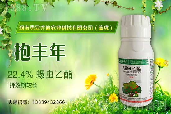 �����������¹چ̵ϣ��{�����ٺ�1988.TV������(chu��ng)���x����