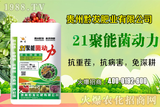 ǭ�l(f��)�ʘI(y��)�ٶȔy��1988.TV���y�ִ����������E��