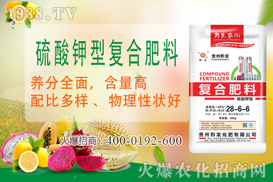 ǭ�l(f��)�ʘI(y��)�ٶȔy��1988.TV���y�ִ����������E��